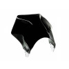 Raptor Screen (Black) For Honda CB600 F Hornet (03-04) By Puig 2127N