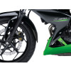 Front Fender Extender (Black) For Kawasaki Ninja 300 (13-20) By Puig 3517N