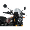 New Generation Sport Screen (Dark Smoke) For Indian FTR1200 R Carbon (22) By Puig 3834F