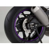 Rim Strip With Applicator (White) For Indian FTR1200 R Carbon (23-24) By Puig 4542B